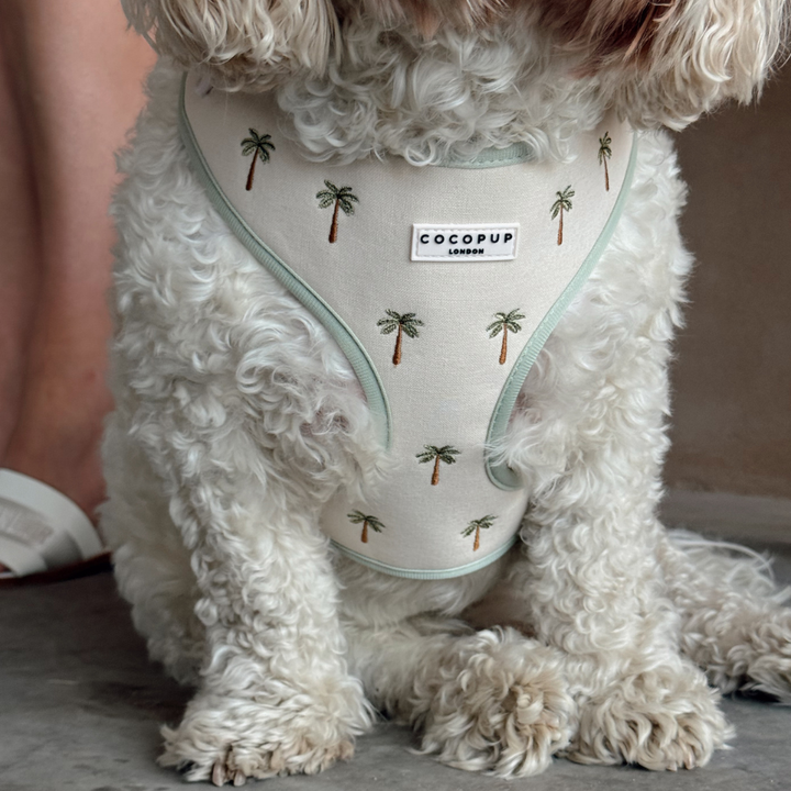 Palm Springs Adjustable Neck Harness, Lead & Collar Bundle
