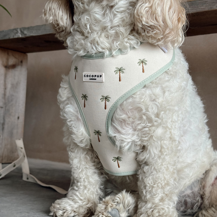 Palm Springs Adjustable Neck Harness, Lead & Collar Bundle