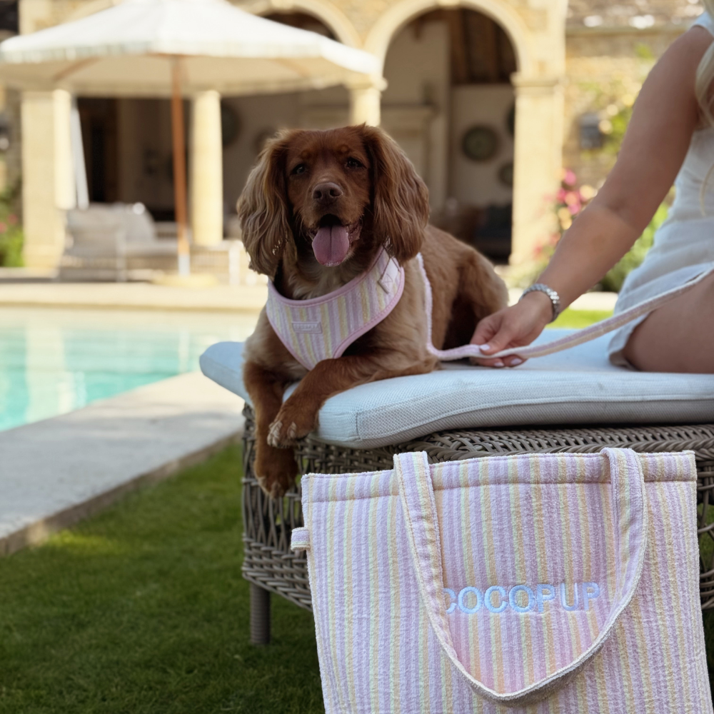 Pastel Stripes Adjustable Neck Harness, Lead & Collar Bundle