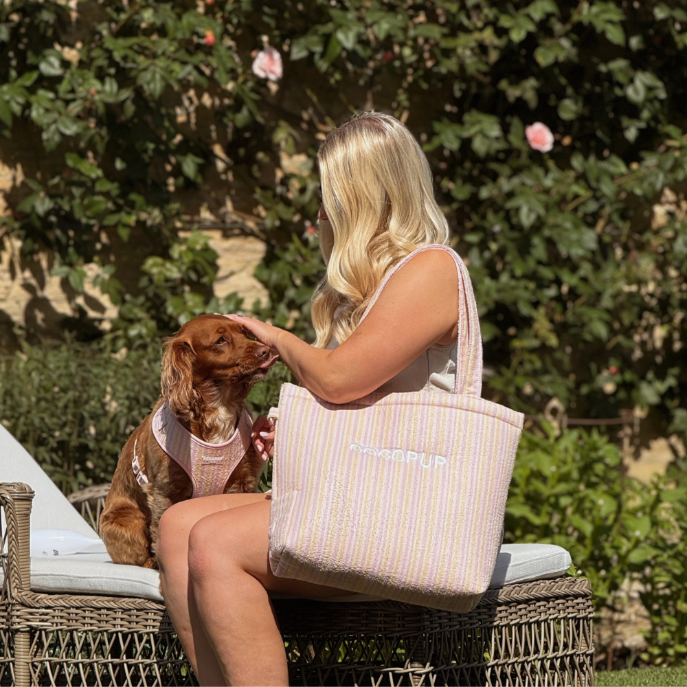 Tote Bag - Pastel Stripes