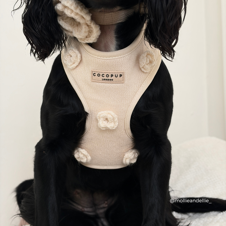 Petal Patch Adjustable Neck HARNESS