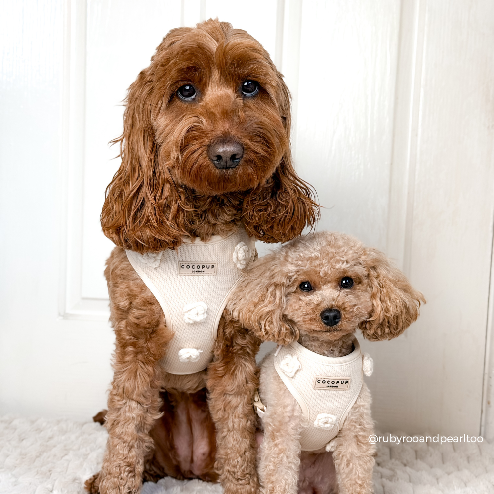 Petal Patch Adjustable Neck HARNESS