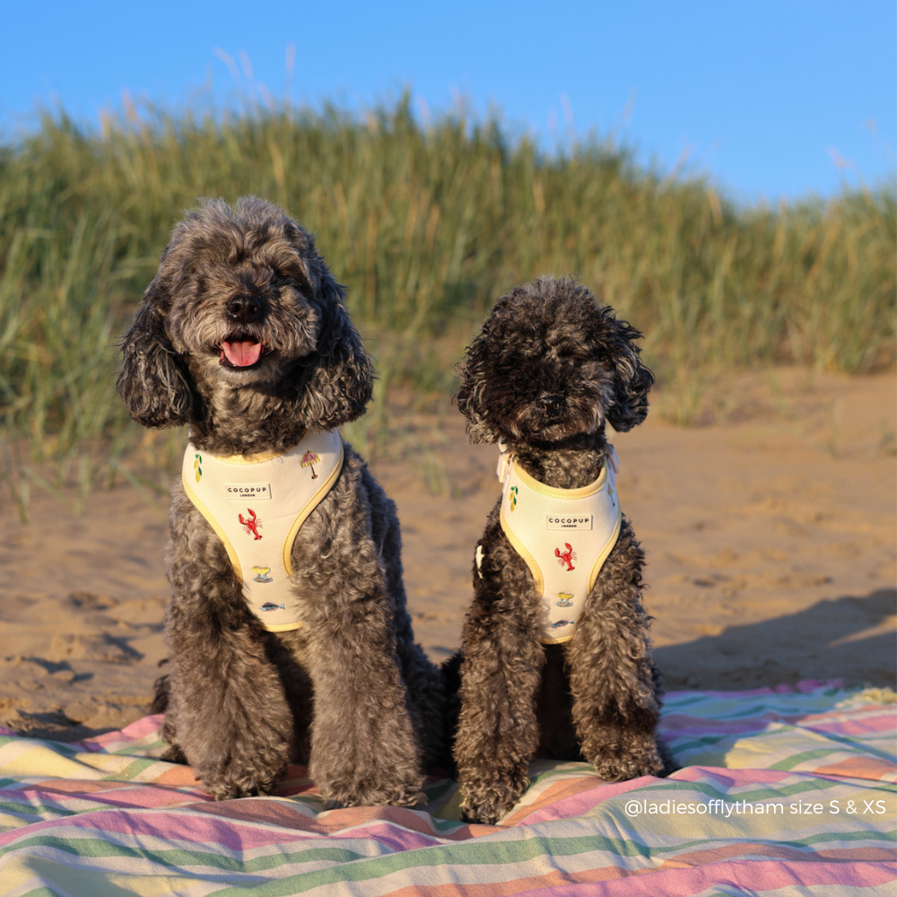 Picnic in Positano Adjustable Neck HARNESS