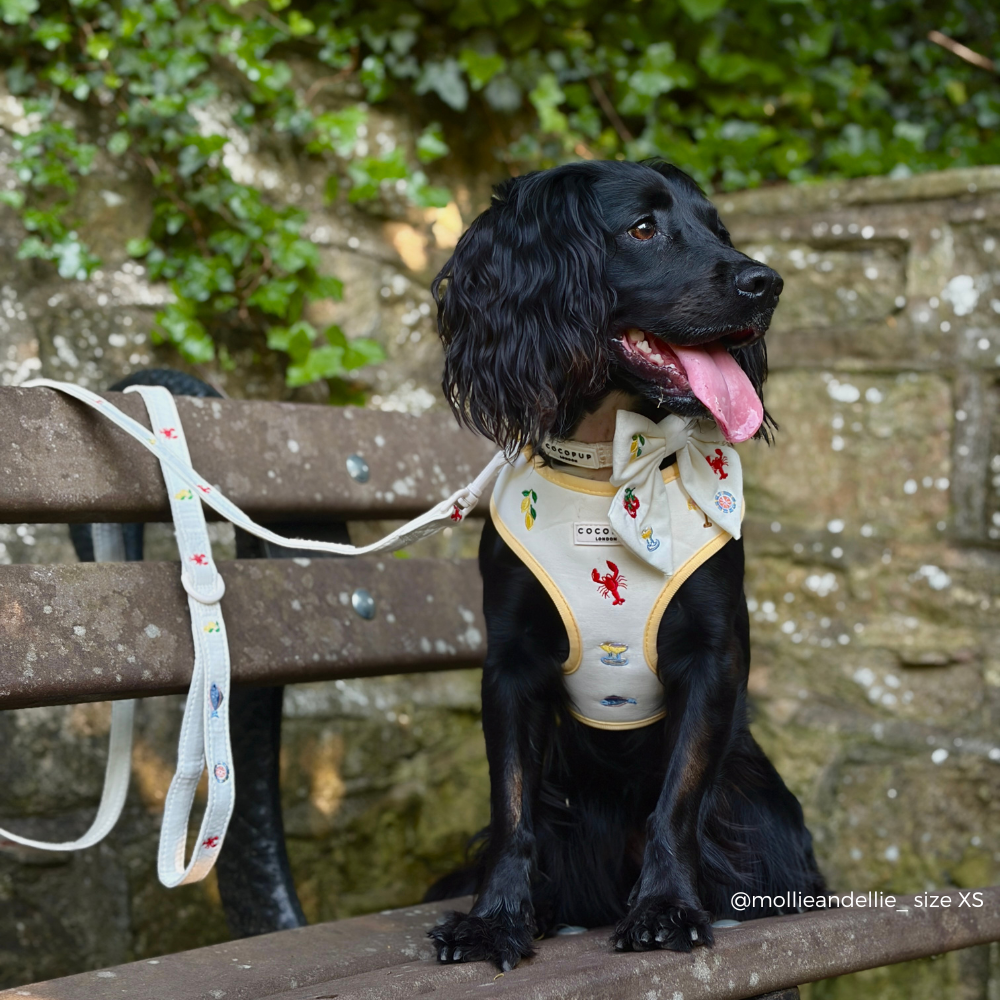 Picnic in Positano Adjustable Neck HARNESS