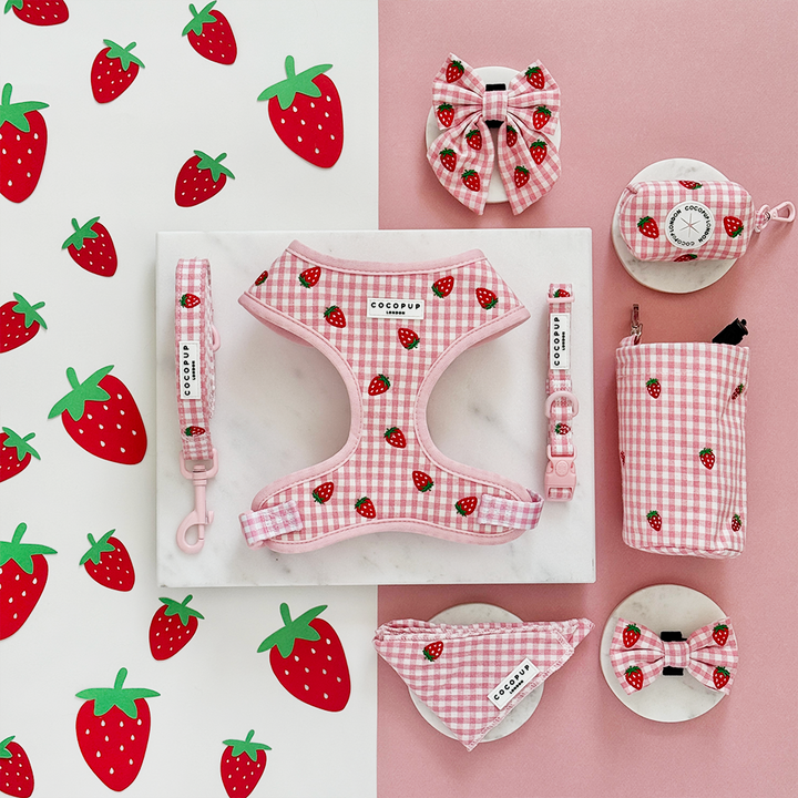 Strawberry Picnic Pup Adjustable Neck Harness, Lead & Collar Bundle