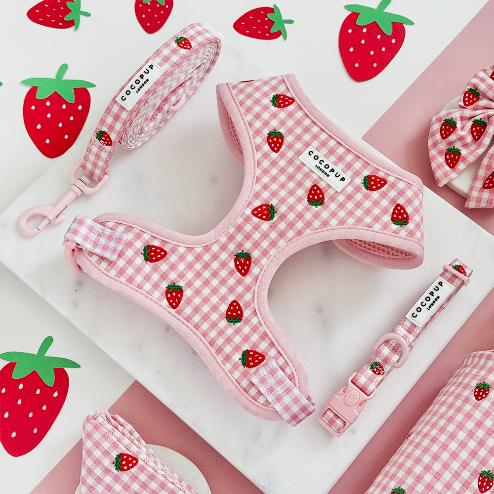 Strawberry Picnic Pup Adjustable Neck Harness, Lead & Collar Bundle
