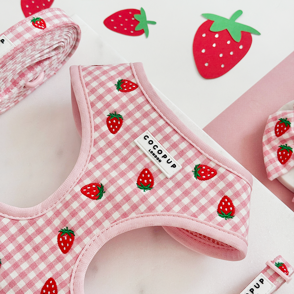 Strawberry Picnic Pup Adjustable Neck Harness, Lead & Collar Bundle