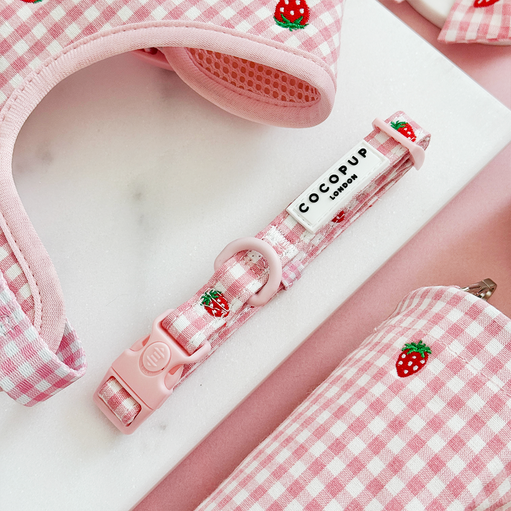 Strawberry Picnic Pup Adjustable Neck Harness, Lead & Collar Bundle