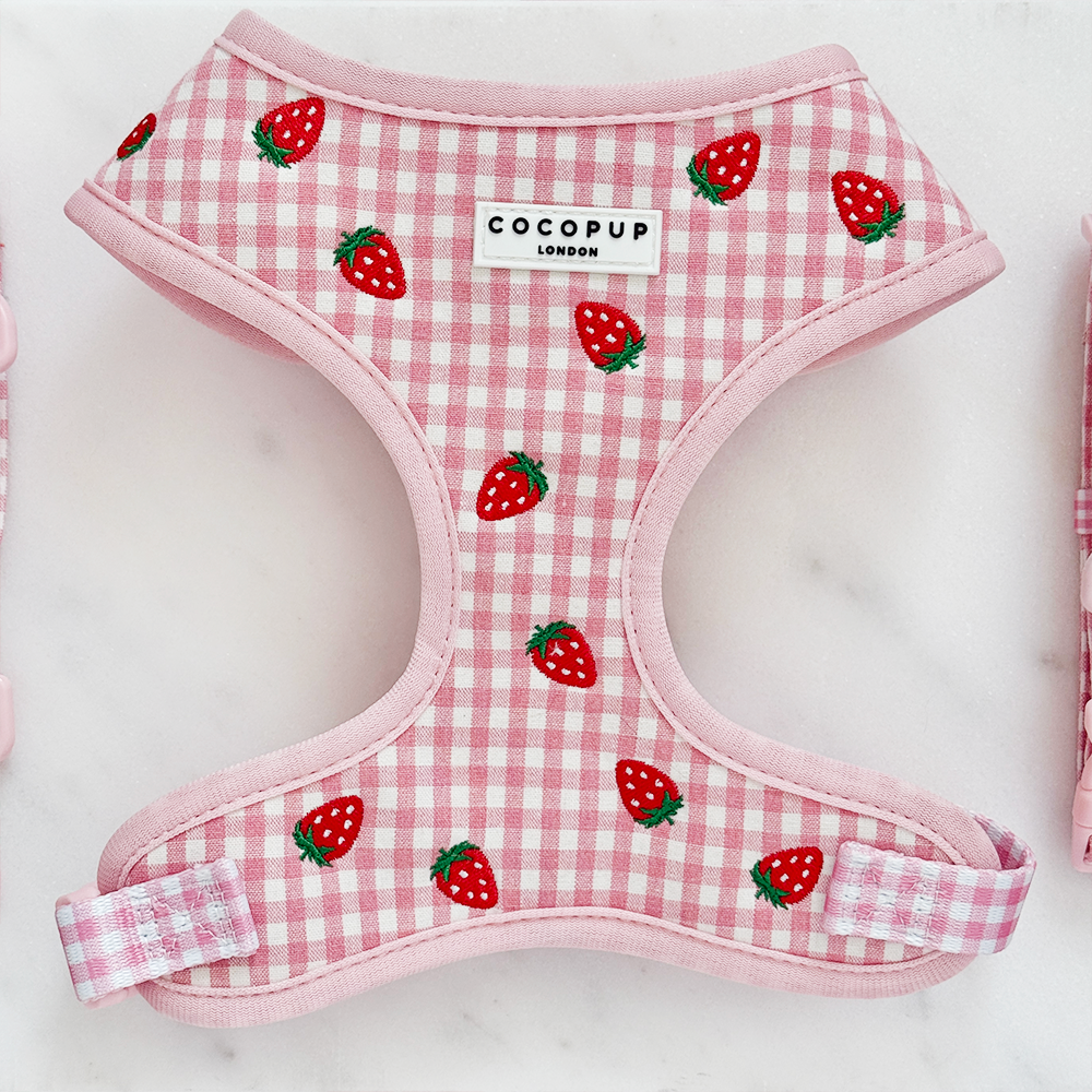 Strawberry Picnic Pup Adjustable Neck Harness, Lead & Collar Bundle