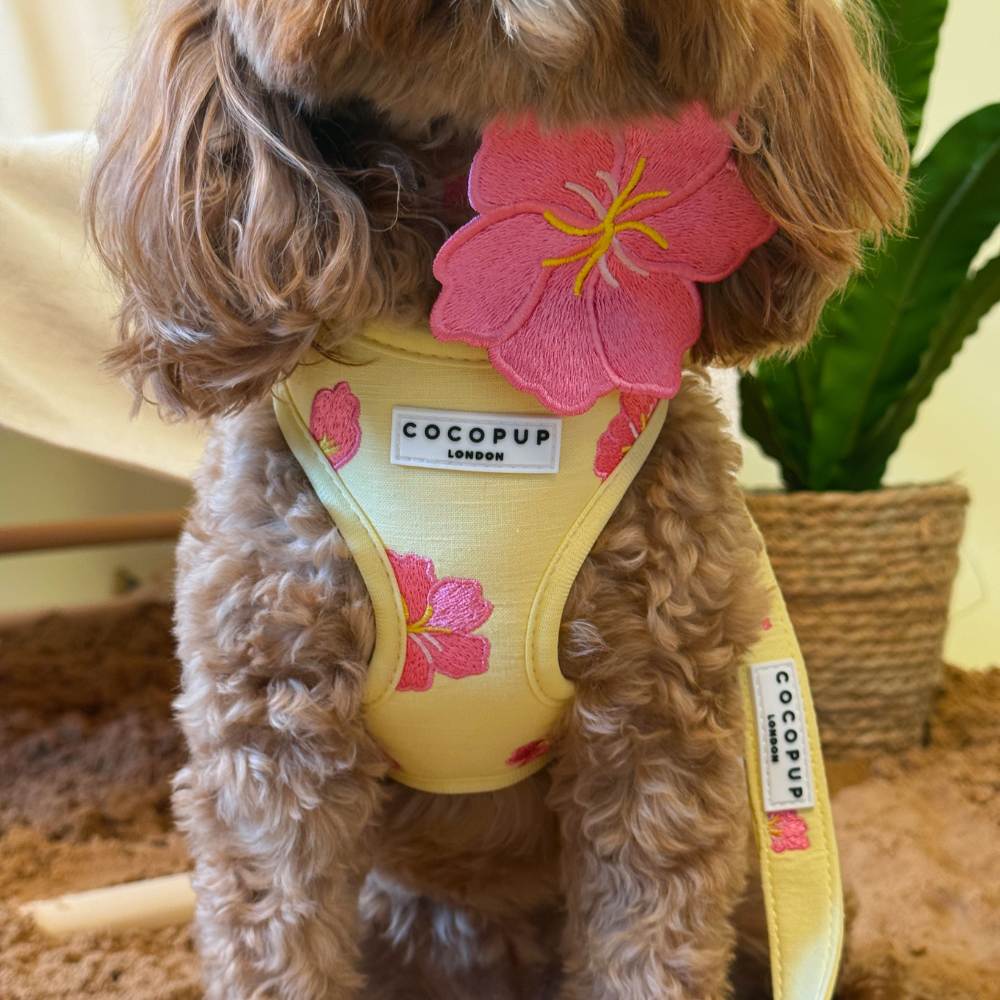 Pink Hibiscus Adjustable Neck HARNESS