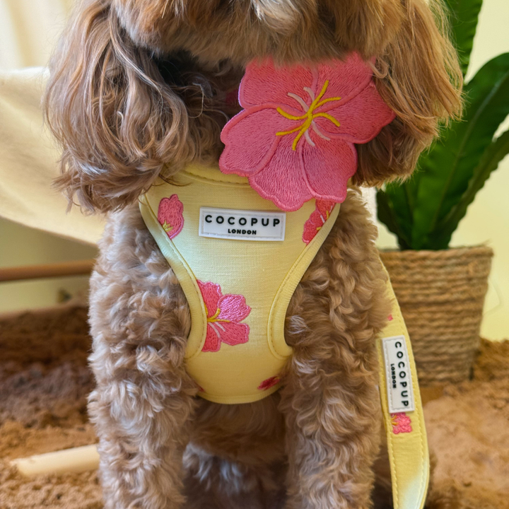 Pink Hibiscus Adjustable Neck HARNESS