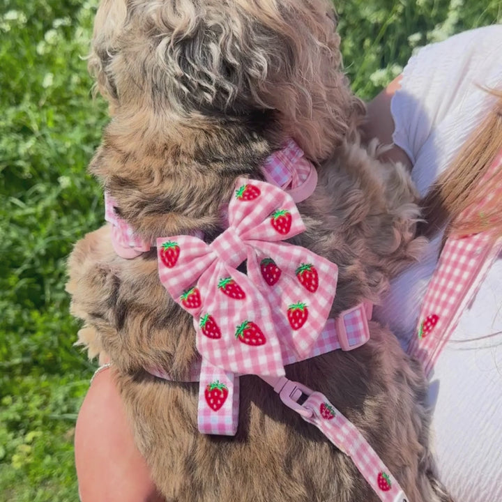 Strawberry Picnic Pup Sailor Bow Tie