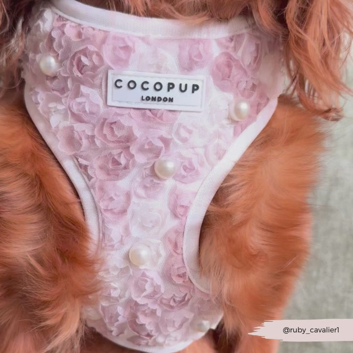 Pearly Pup Adjustable Neck HARNESS