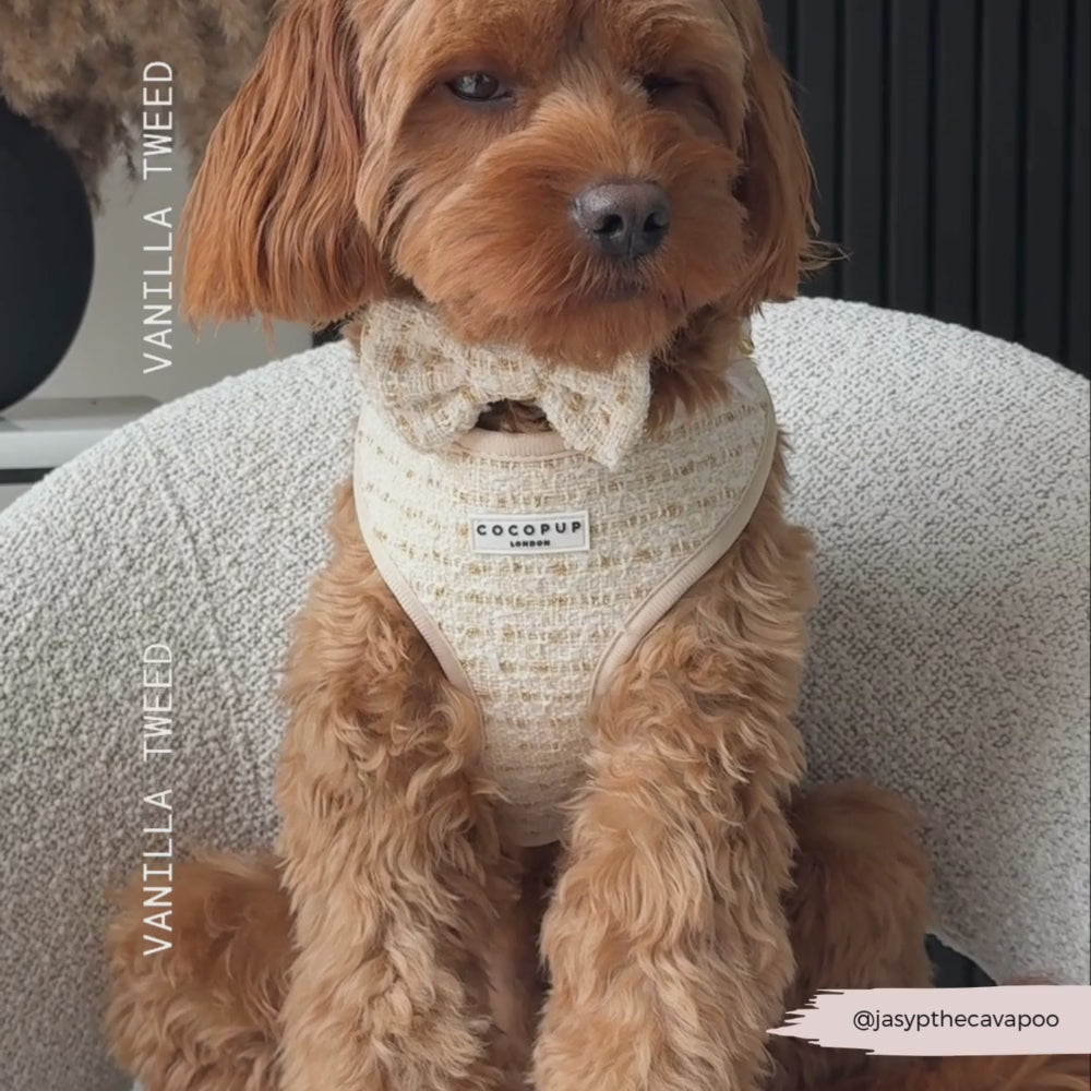 Vanilla Textured Tweed Bow Tie