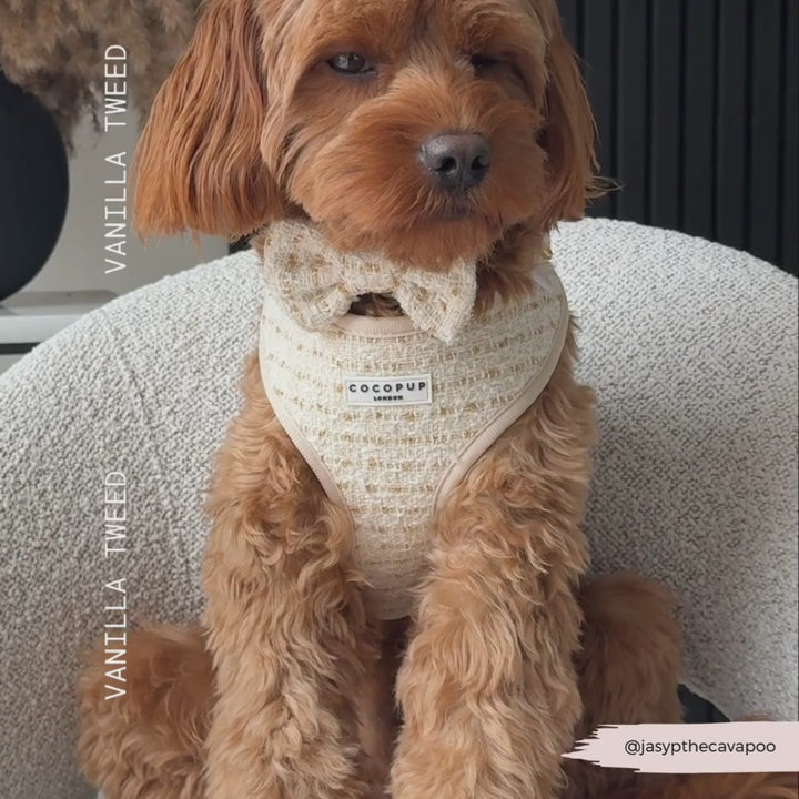 Vanilla Textured Tweed Bow Tie