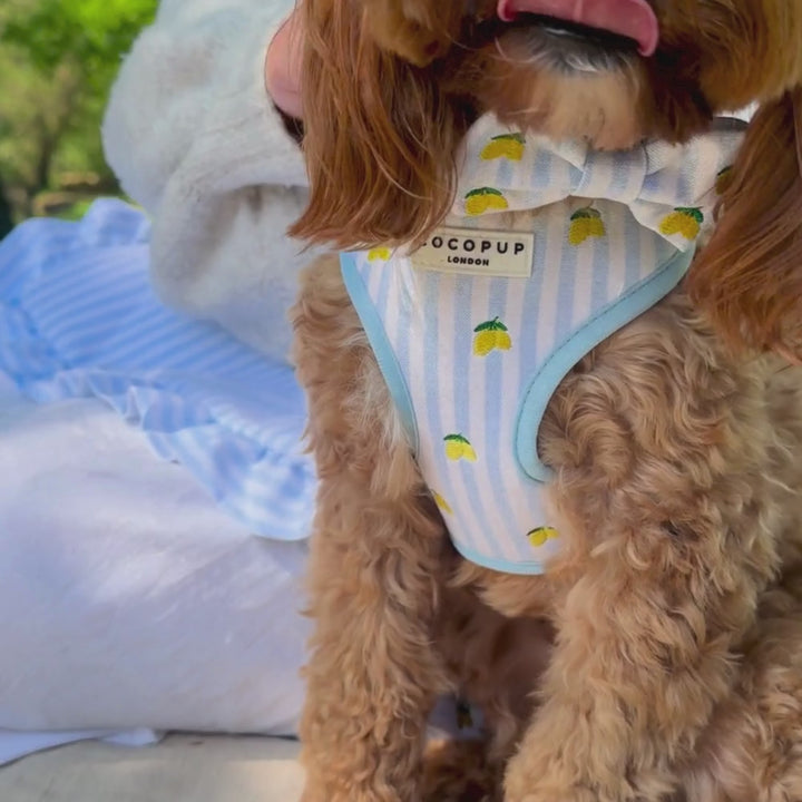 Living La Vida Lemon Adjustable Neck HARNESS