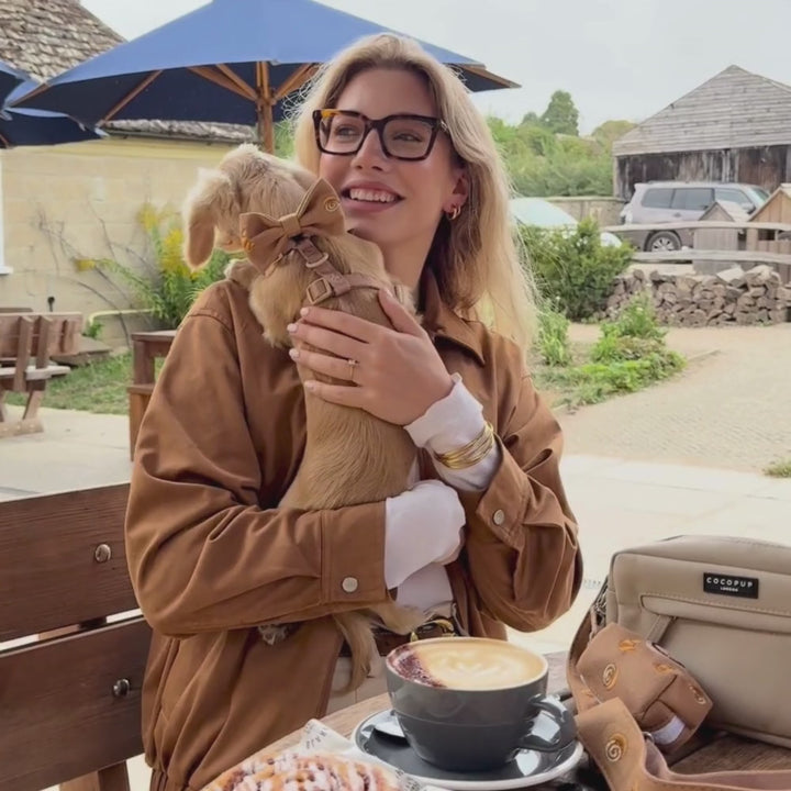 Dog Walking Caramel Latte Bag Bundle - Pawtisserie