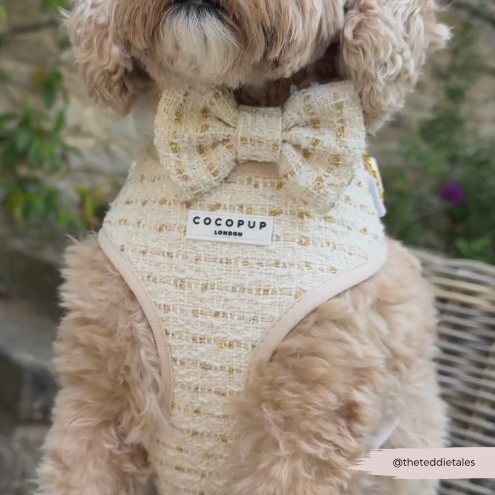 Vanilla Textured Tweed Adjustable Neck HARNESS
