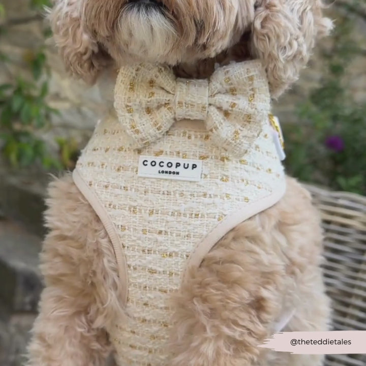 Vanilla Textured Tweed Adjustable Neck HARNESS