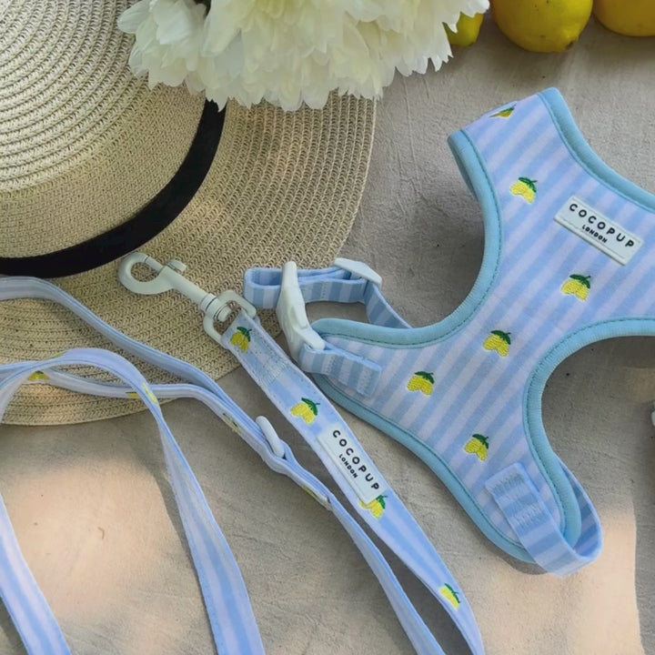 Living La Vida Lemon Adjustable Neck HARNESS