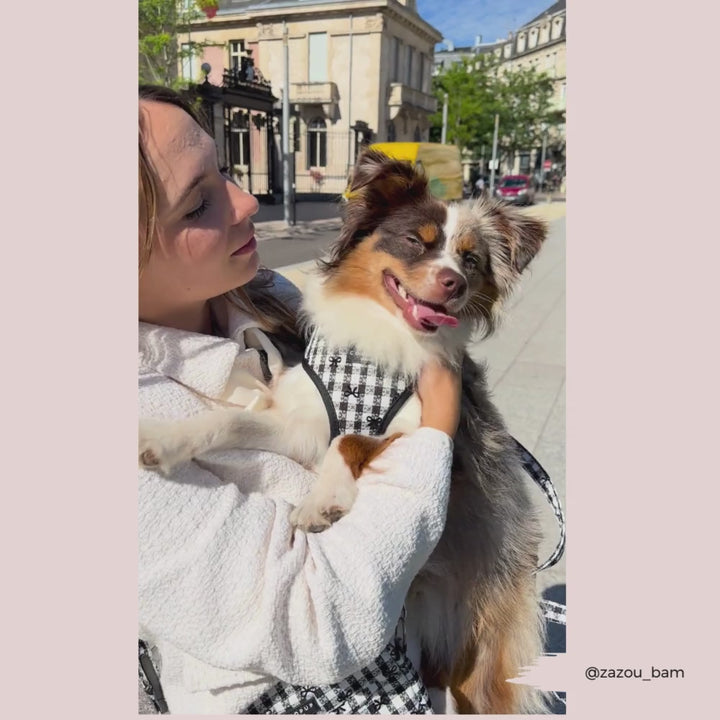 Pup in Paris Adjustable Neck HARNESS
