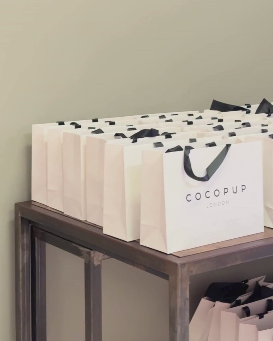 Cocopup Gift Bag
