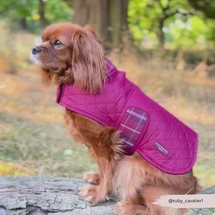 Quilted Dog Coat - Mulberry Plaid