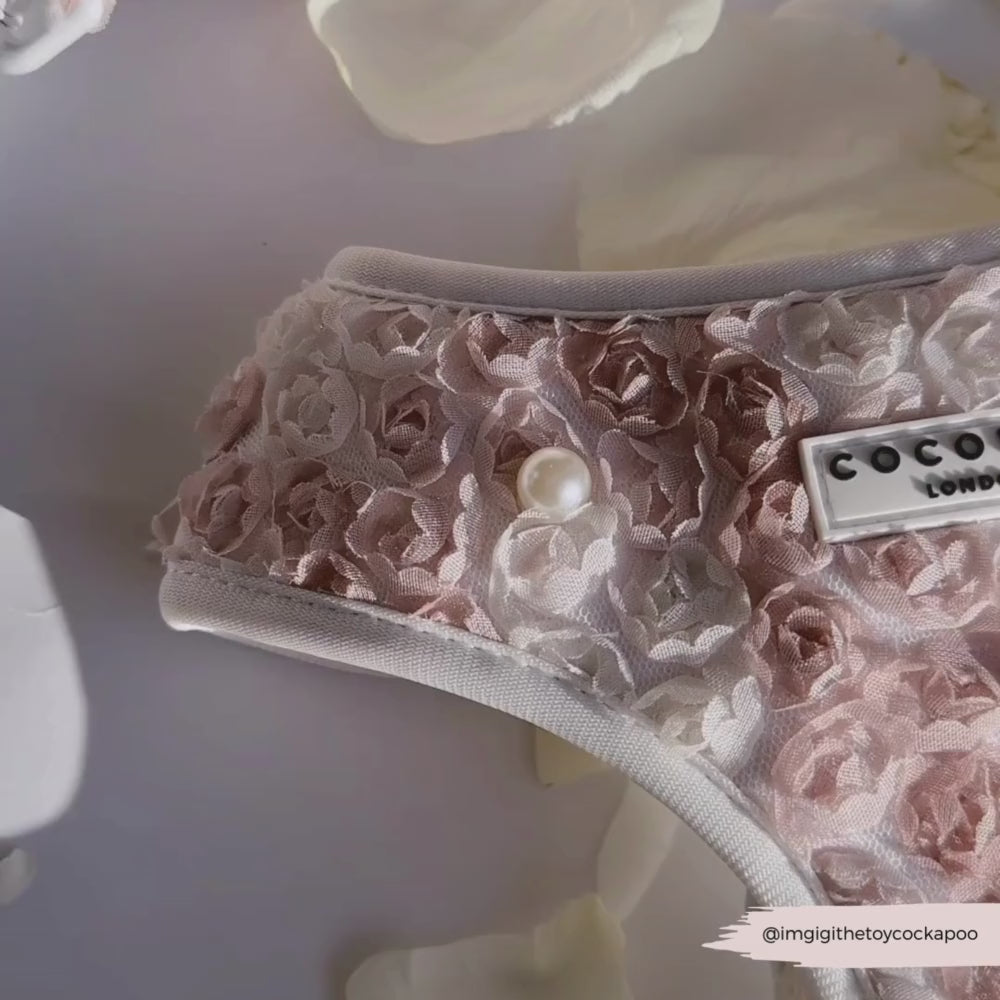 Pearly Pup Adjustable Neck Harness, Lead & Collar Bundle