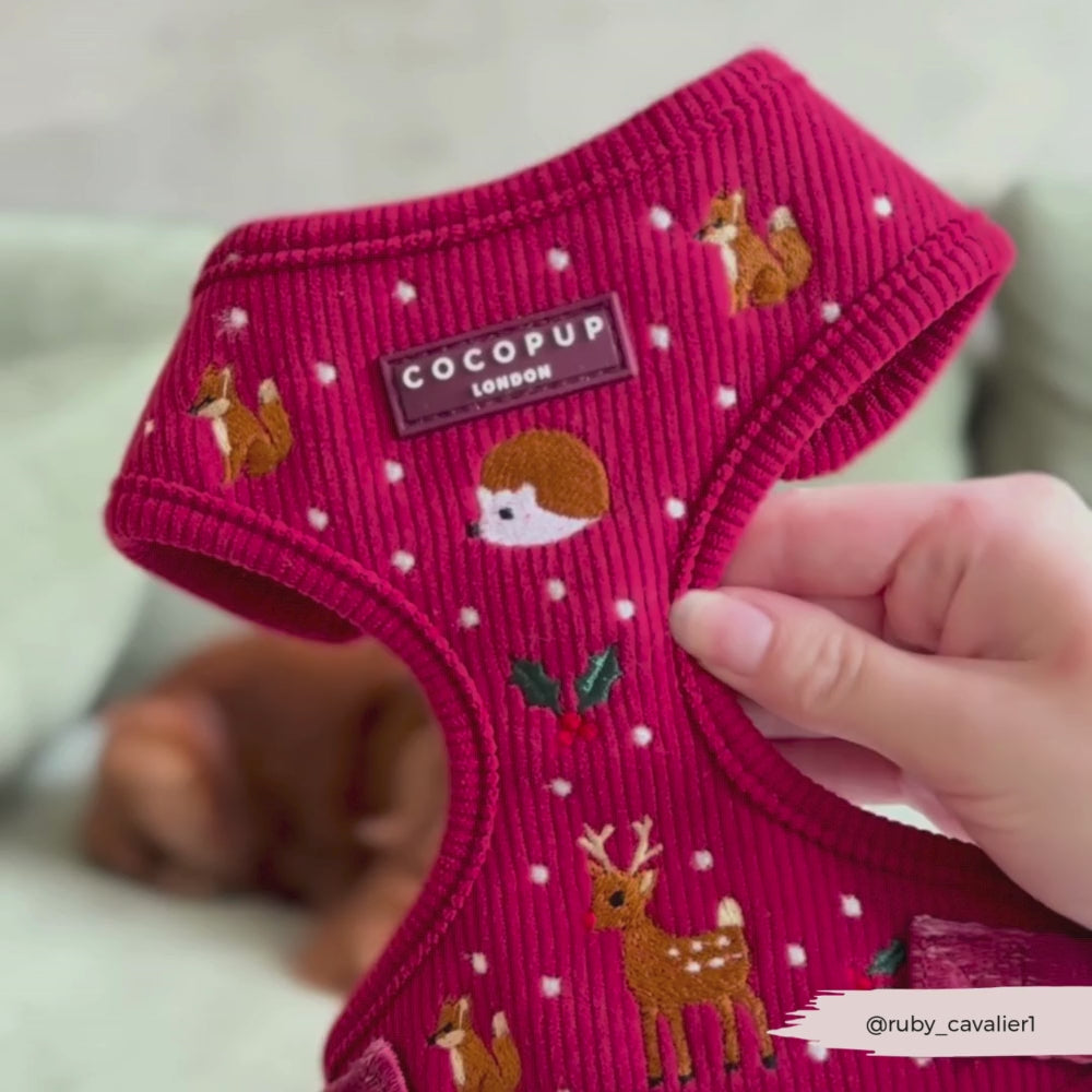 Holly Jolly Trails Adjustable Neck Harness, Lead & Collar Bundle