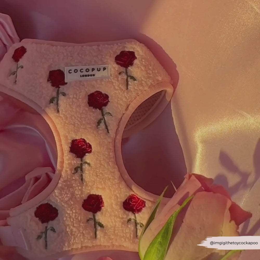 Roses Embroidered Teddy Adjustable Neck Harness