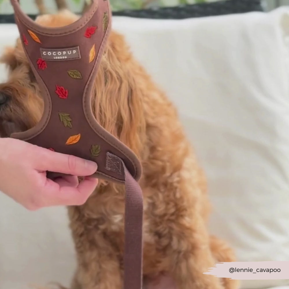 Pawtumn Leaves Adjustable Neck HARNESS