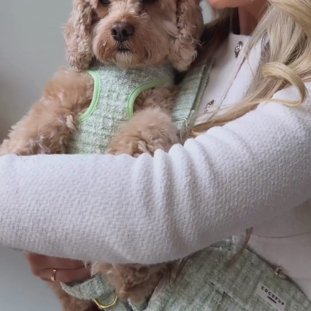 Matcha Textured Tweed Dog Walking Bag Bundle - Matcha Textured Tweed