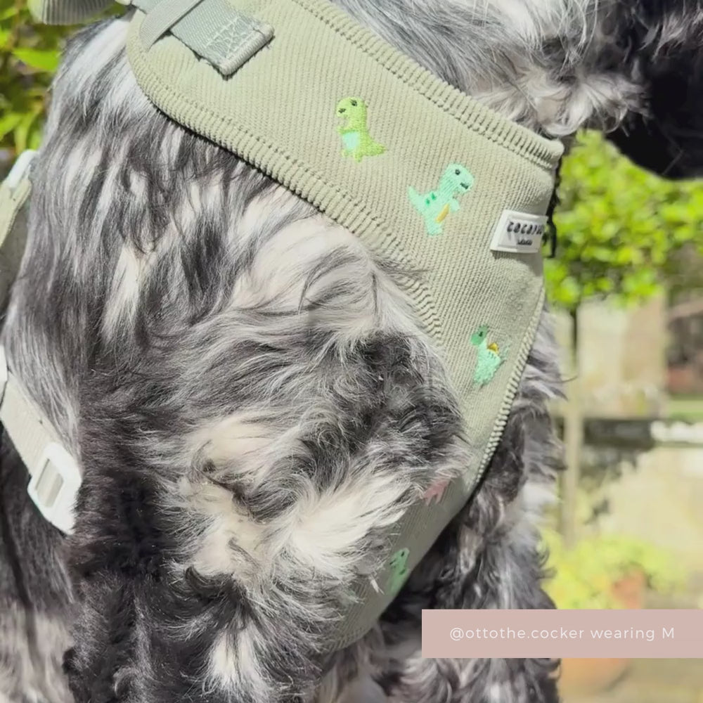 Dino Doodles Adjustable Neck Harness, Lead & Collar Bundle