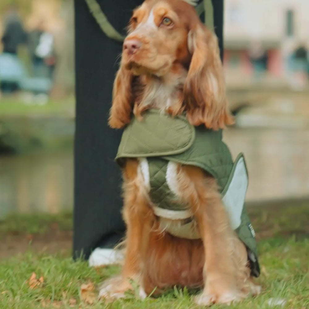 LUXE Quilted Dog Coat - Country Khaki