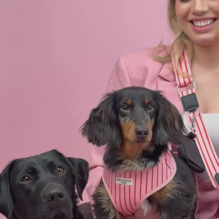 Dog Walking Bag Bundle - Candy Stripe