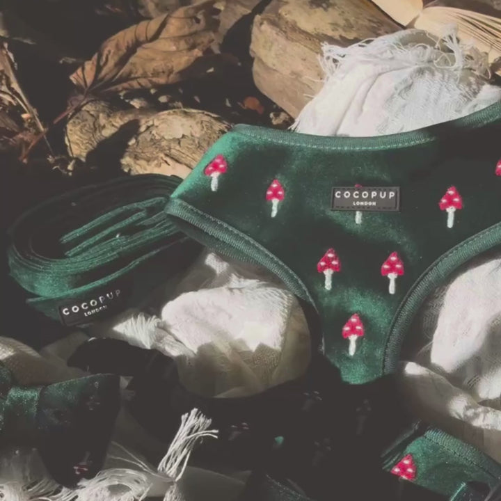 Toadstool Trails Adjustable Neck HARNESS