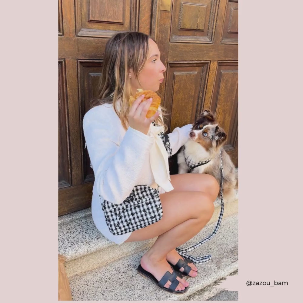 Pup in Paris Dog Walking Bag Bundle - Pup in Paris