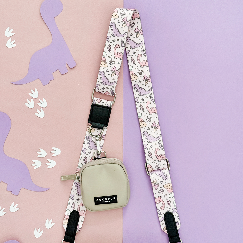 Dog Walking Bag Bundle - Princess Dino