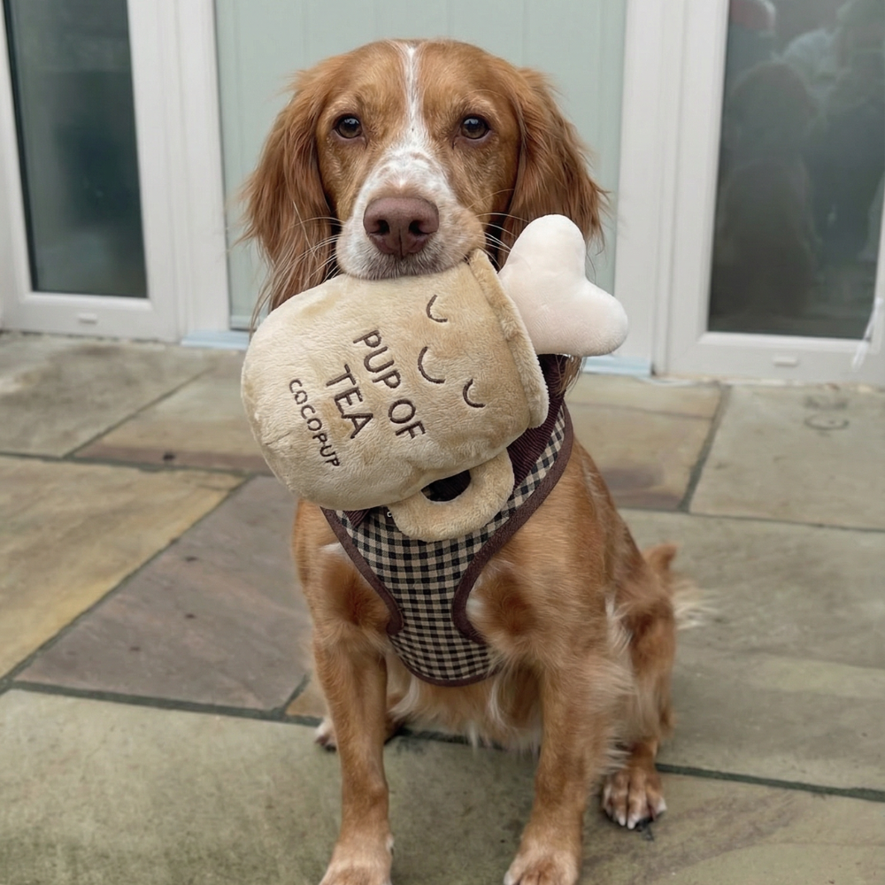 Pup of Tea Dog Toy