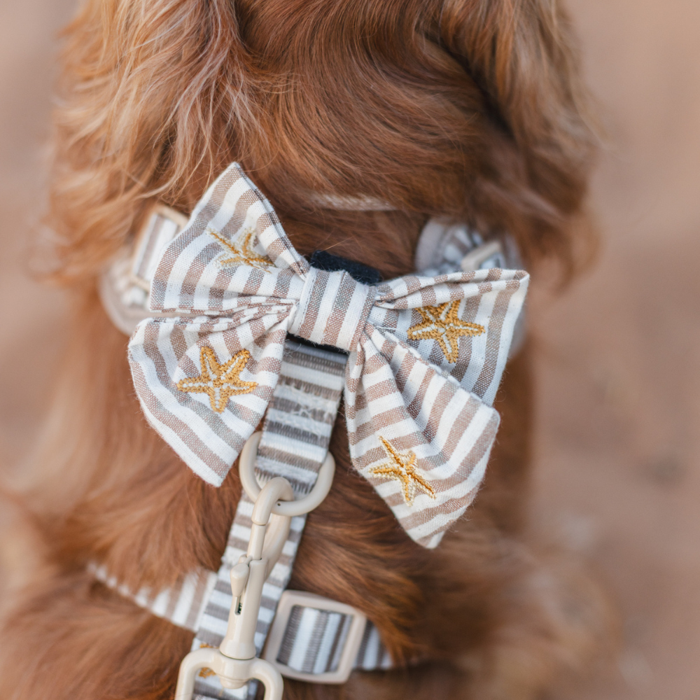 Sandy Starpaws Sailor Bow Tie