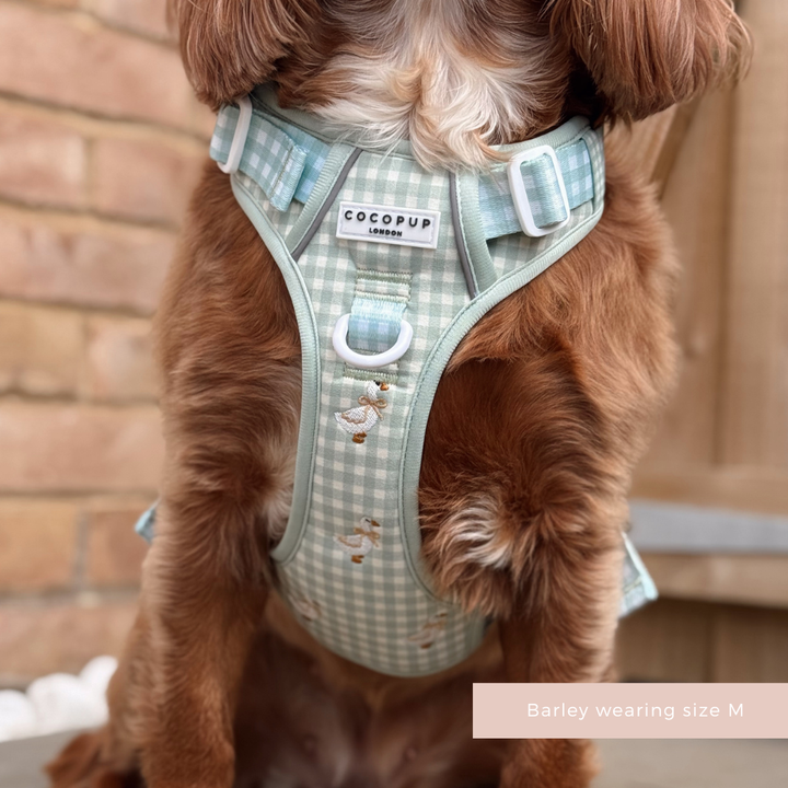 Brown dog wearing a green checked Cocopup London Explore Harness, Silly Goose design, size M. Text: Barley wearing size M.