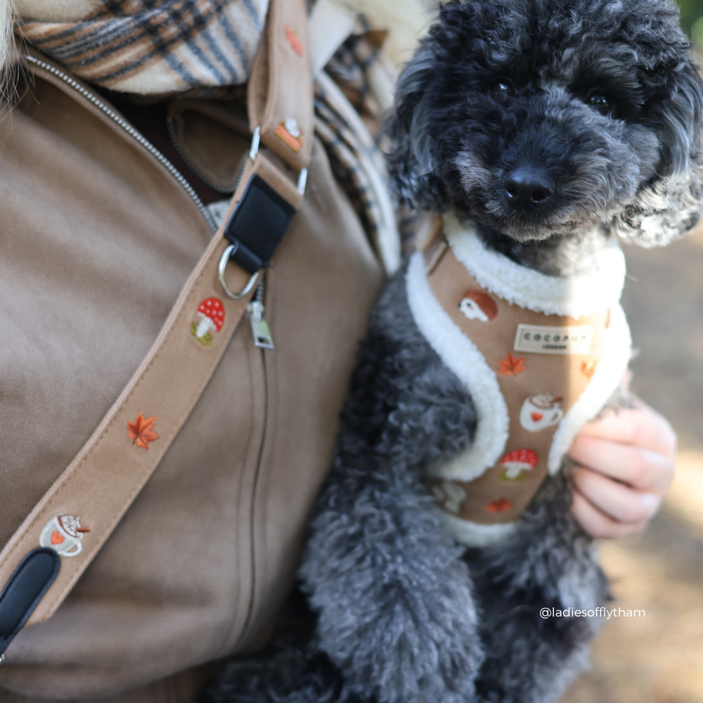 Close-up of a bl crossbody tan suede strap featuring embroidered red and orange mushrooms and a leaf, next to a dog wearing a matching harness