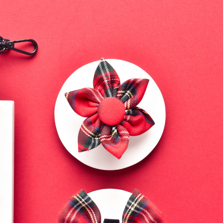 Tartan Collar Flower