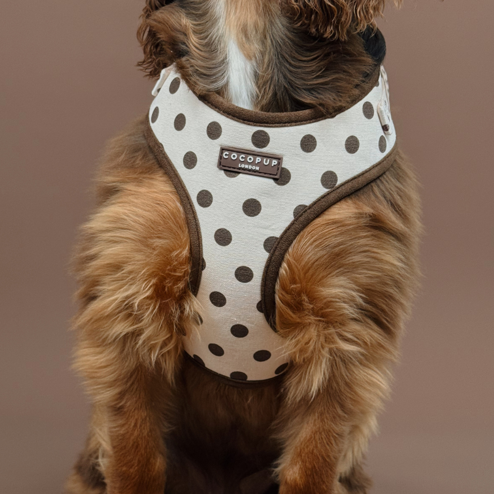 Tiramisu Polka Dot Adjustable Neck Harness, Lead & Collar Bundle