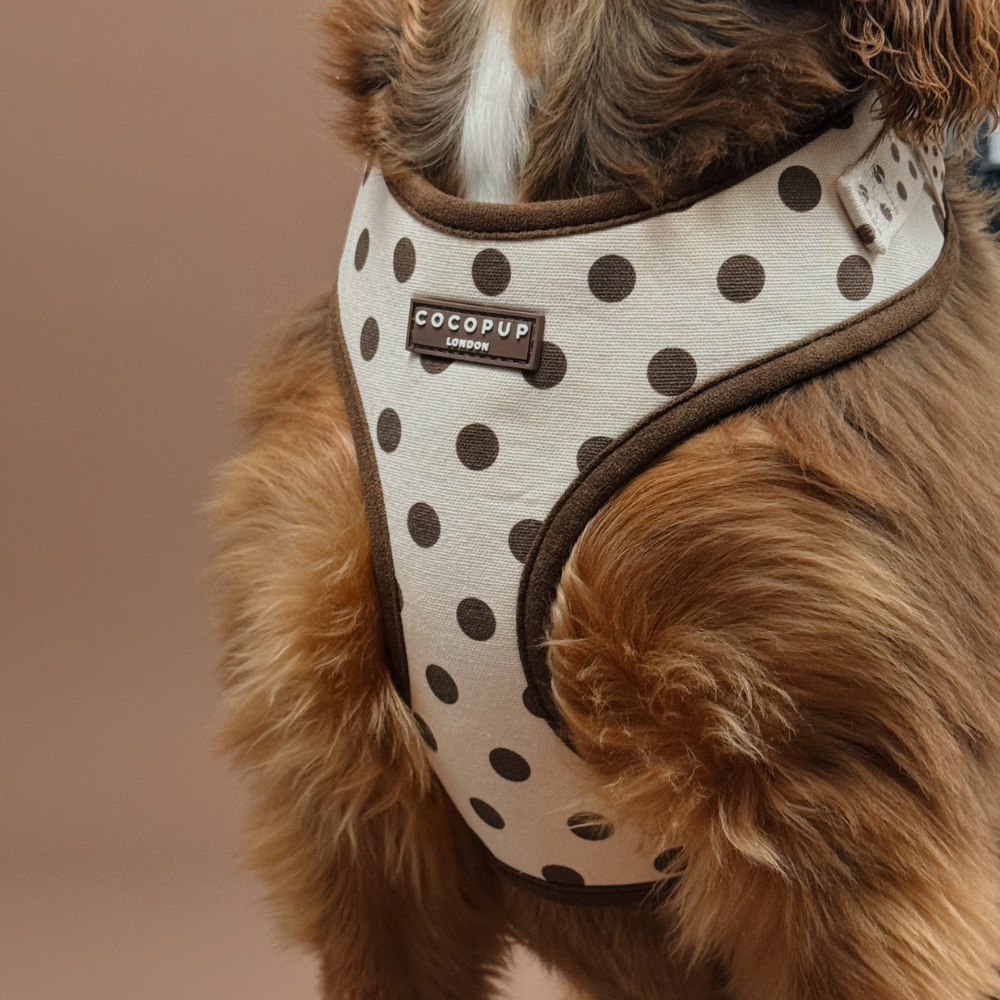 Tiramisu Polka Dot Adjustable Neck Harness, Lead & Collar Bundle