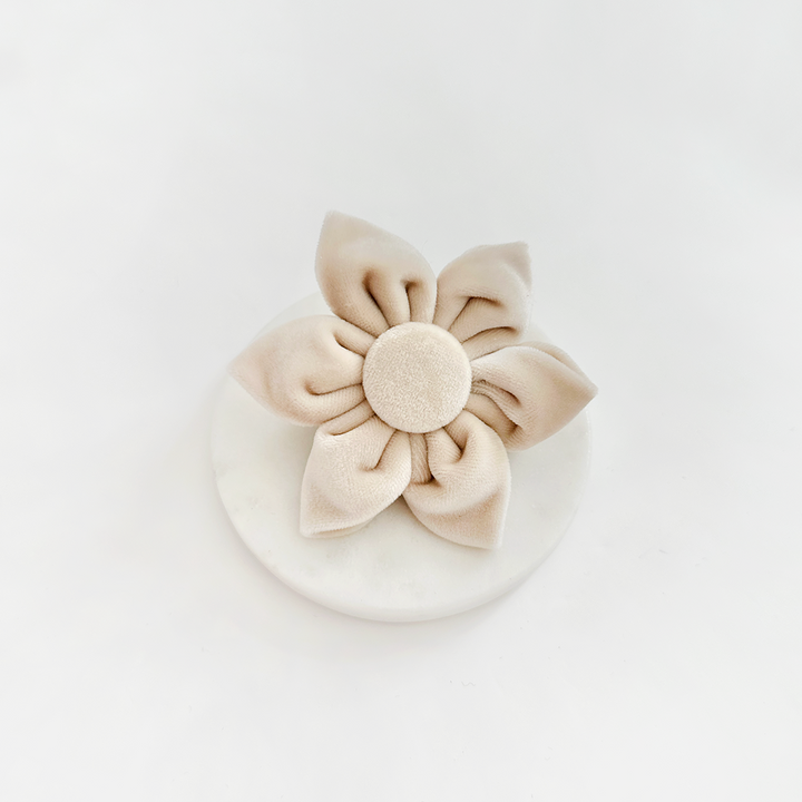 LUXE Velvet Champagne Collar Flower