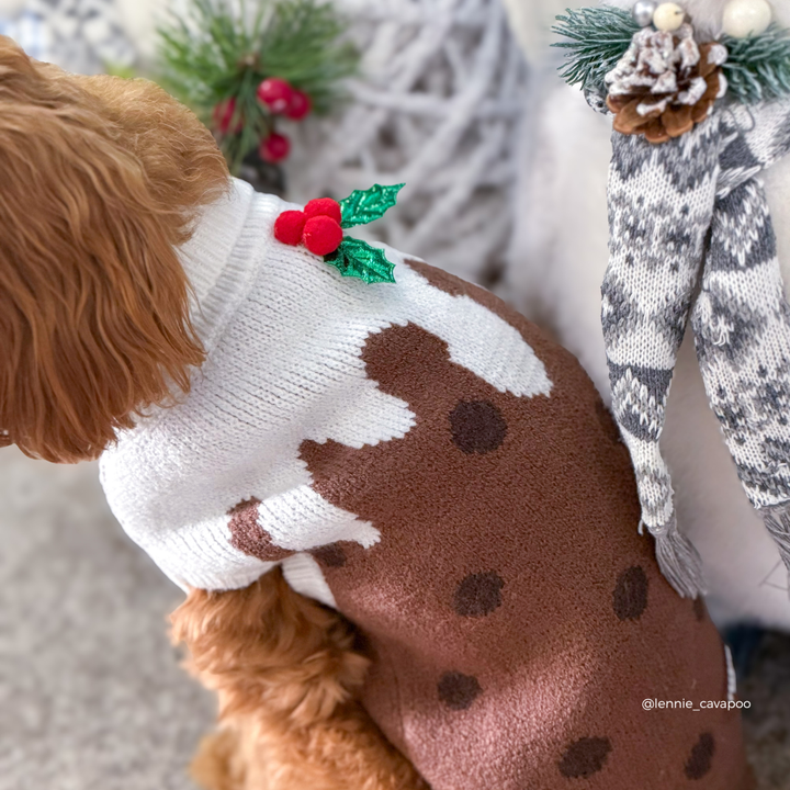 A close-up lifestyle shot of a small brown dog wearing a knitted Christmas sweater. The sweater features a white knit collar and upper section with a brown lower section decorated with dark brown spots, and a small red holly leaf and berry accent on the back.