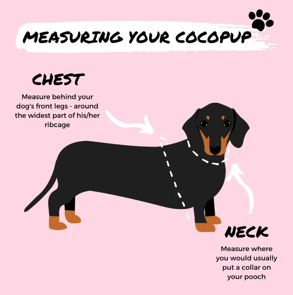 Illustration of a black Dachshund with brown markings on a pink background labeled "Measuring Your Mystery Adjustable Neck Harness by Cocopup London." Instructions indicate measuring the chest behind the front legs around the widest part of the ribcage and the neck where a collar usually sits for an adjustable neck harness.